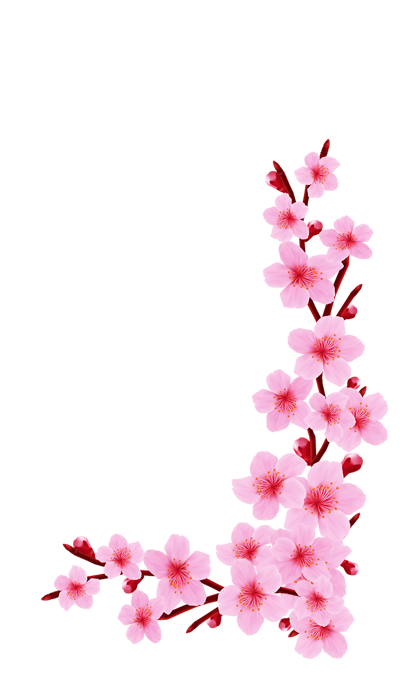 frame